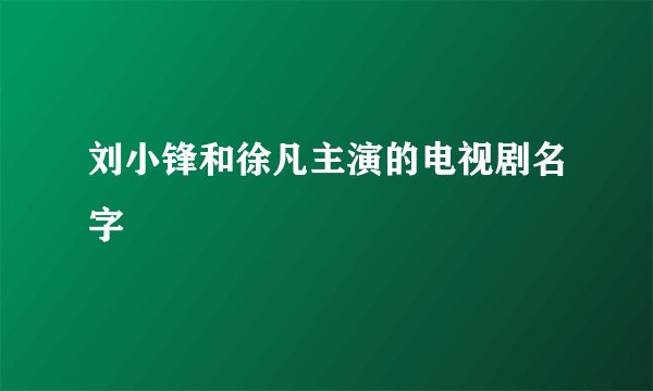 刘小锋和徐凡主演的电视剧名字