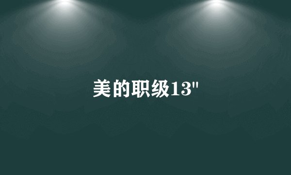 美的职级13
