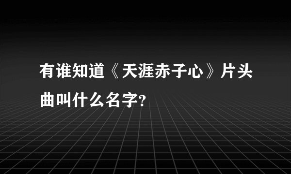 有谁知道《天涯赤子心》片头曲叫什么名字？