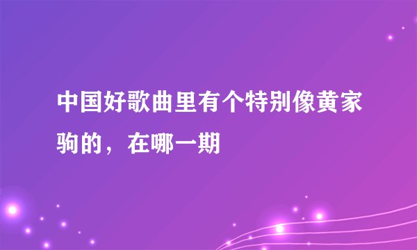 中国好歌曲里有个特别像黄家驹的，在哪一期