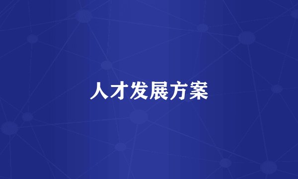 人才发展方案