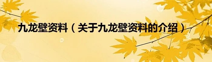 九龙壁资料（关于九龙壁资料的介绍）