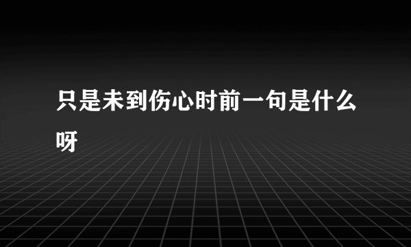 只是未到伤心时前一句是什么呀