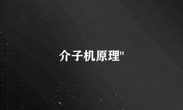介子机原理