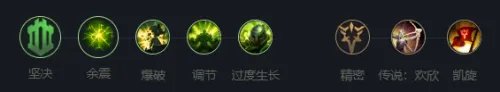 《英雄联盟》披甲龙龟玩法攻略