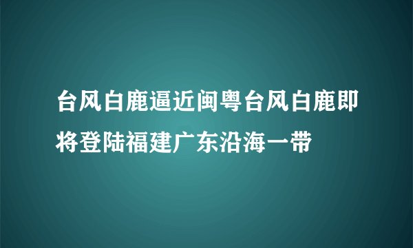 台风白鹿逼近闽粤台风白鹿即将登陆福建广东沿海一带