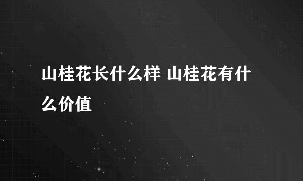 山桂花长什么样 山桂花有什么价值