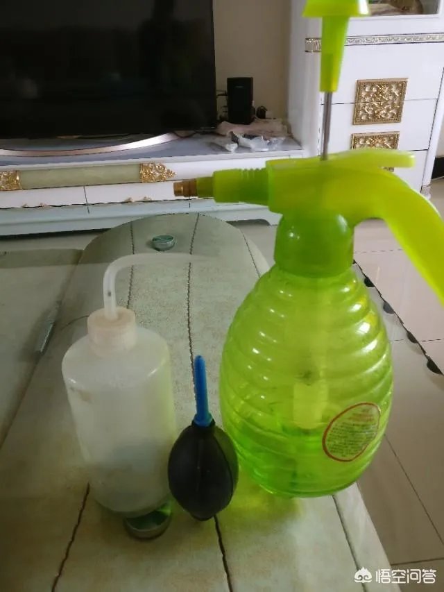 给多肉浇水的秘诀是什么?