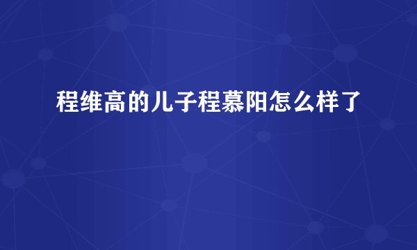 程维高的儿子程慕阳怎么样了