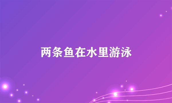 两条鱼在水里游泳