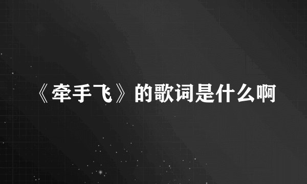 《牵手飞》的歌词是什么啊