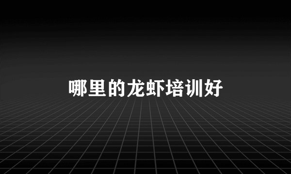 哪里的龙虾培训好