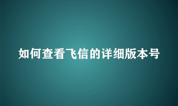 如何查看飞信的详细版本号