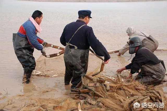 黄河水变清对下游生态是好事还是坏事?