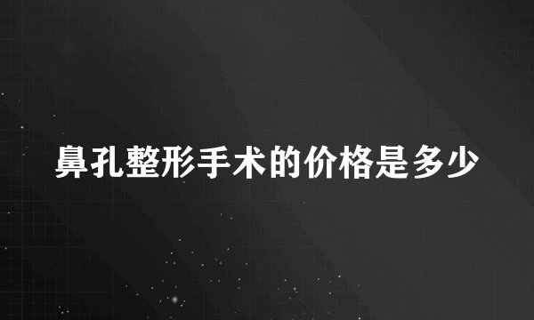 鼻孔整形手术的价格是多少