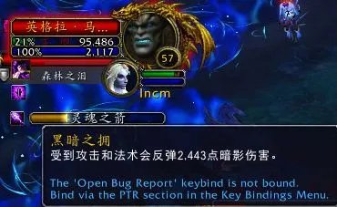 《魔兽世界》塞兹仙林的迷雾全流程攻略