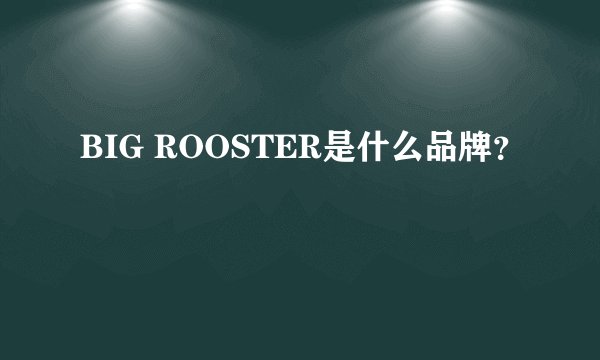 BIG ROOSTER是什么品牌?