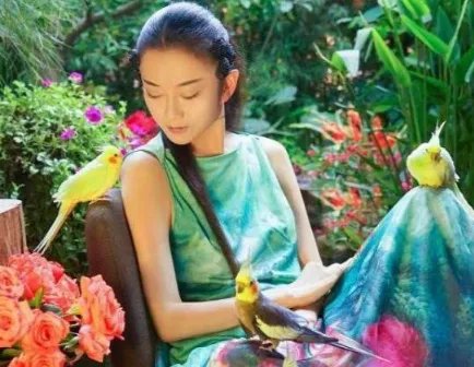 杨丽萍的豪华宫殿被查,内部肮脏不堪,网友直呼封的好,究竟咋回事?