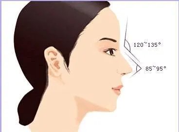 有哪些整容失败的女明星?