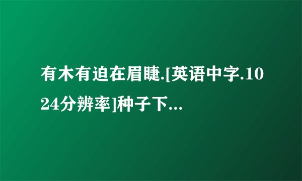 有木有迫在眉睫.[英语中字.1024分辨率]种子下载，好东西大家分享