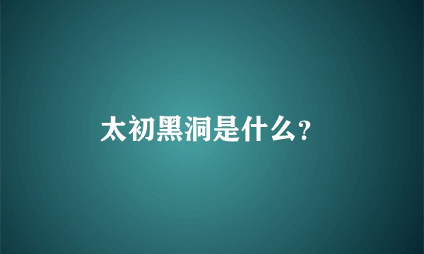 太初黑洞是什么？