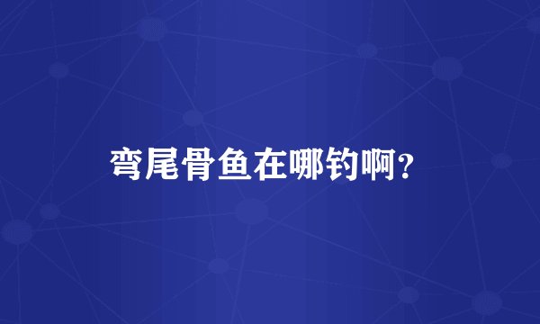 弯尾骨鱼在哪钓啊？