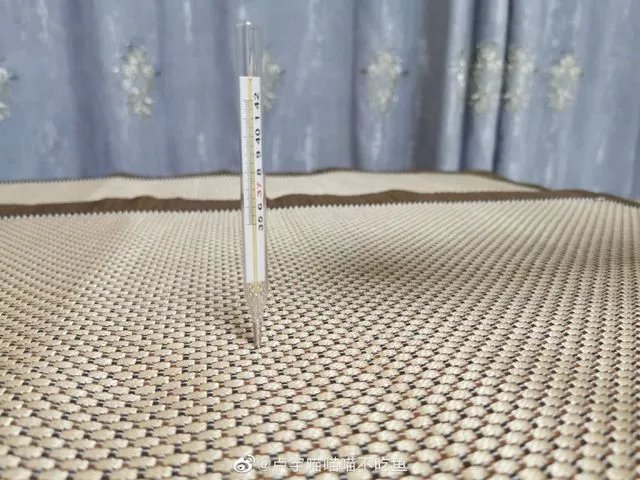 昨天“立扫把”,今天倒立上厕所?沙雕网友的脑洞有多大!