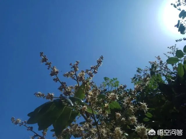 如果你的银行卡里突然多了50个亿，你晚上能睡着吗？
