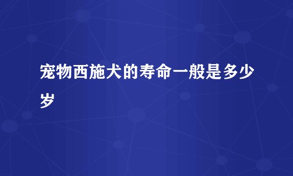 宠物西施犬的寿命一般是多少岁