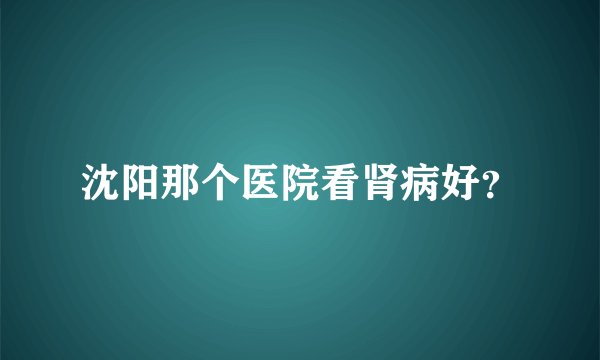 沈阳那个医院看肾病好？