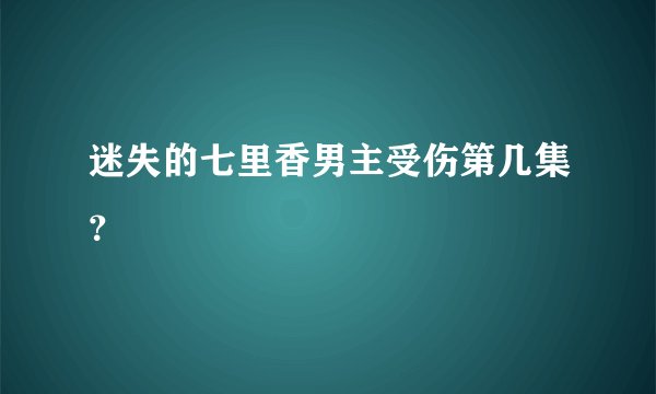 迷失的七里香男主受伤第几集？