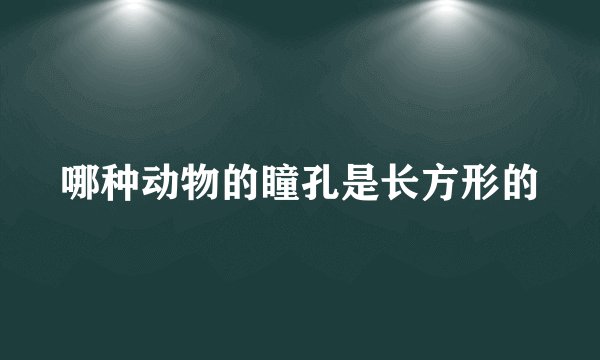 哪种动物的瞳孔是长方形的
