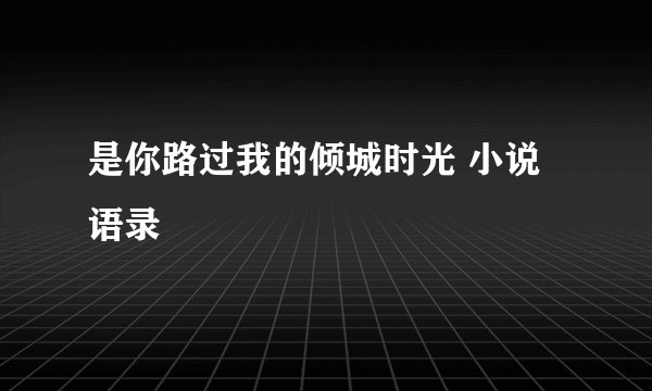 是你路过我的倾城时光 小说语录