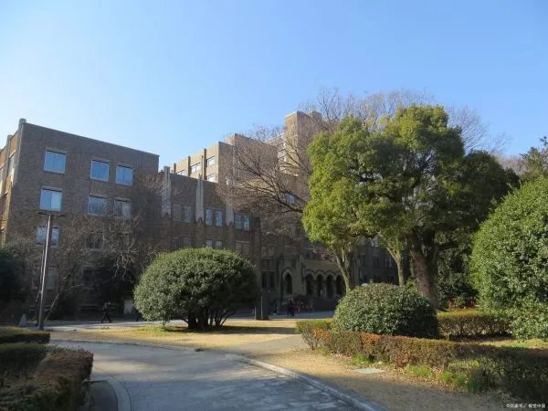 大学教育中,普遍存在的问题有哪些?