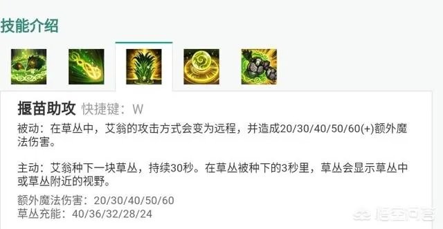 LOL中哪位英雄的技能最令你想吐槽?
