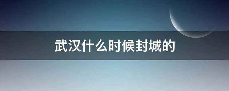 武汉什么时候封城的
