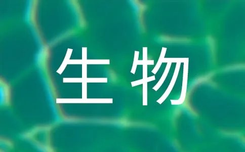 食品生物技术专业主要学什么