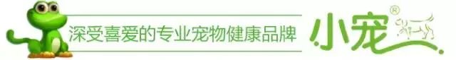 对于日本演员矢野浩二致歉,你怎么看?