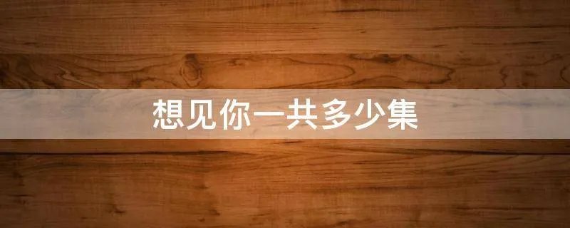 想见你一共多少集