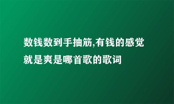 数钱数到手抽筋,有钱的感觉就是爽是哪首歌的歌词