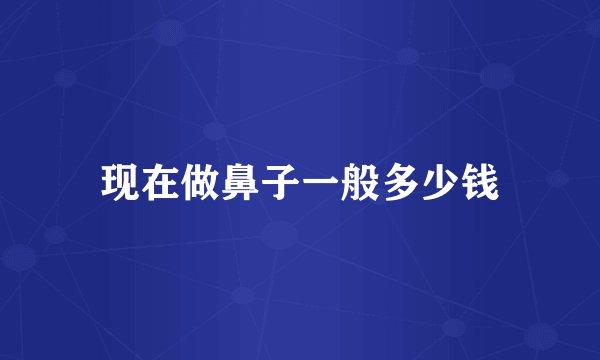 现在做鼻子一般多少钱