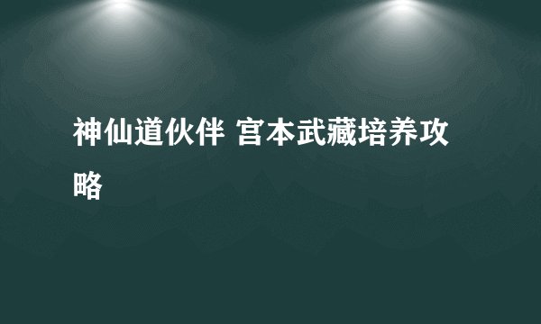 神仙道伙伴 宫本武藏培养攻略