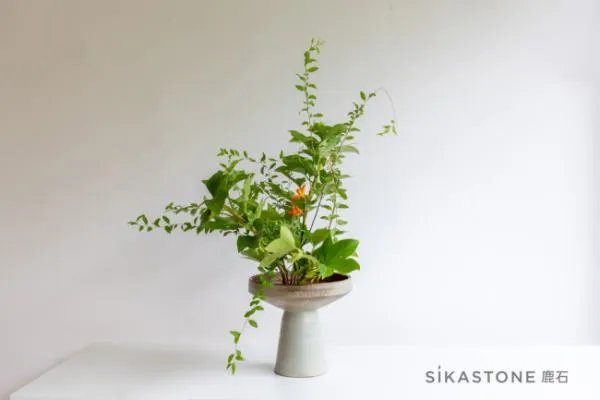 专业的花艺培训学校有么?我想学习一下插花