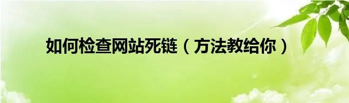 如何检查网站死链（方法教给你）