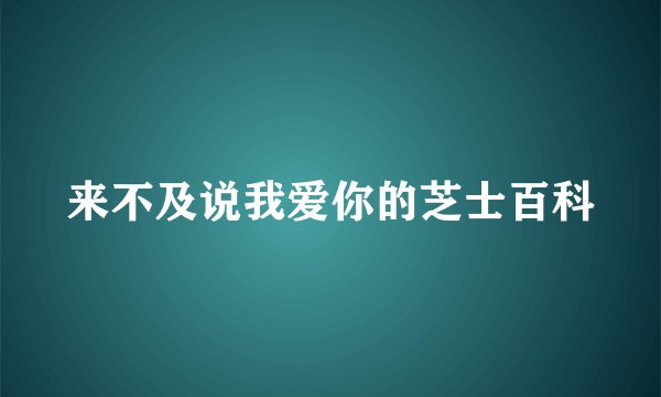 来不及说我爱你的芝士百科