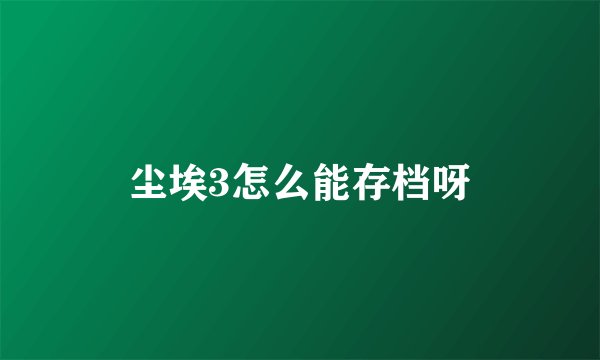 尘埃3怎么能存档呀