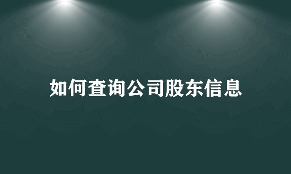 如何查询公司股东信息