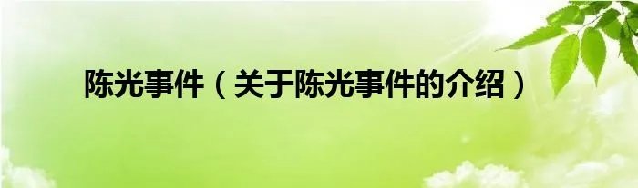 陈光事件（关于陈光事件的介绍）