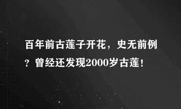 百年前古莲子开花,史无前例?曾经还发现2000岁古莲!
