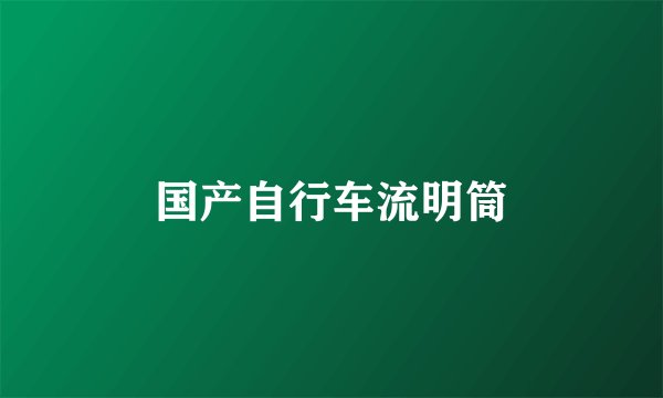 国产自行车流明筒